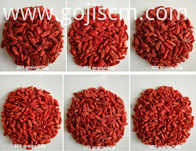 No Hazard Goji Berry sizes No Hazard Goji Berry sizes